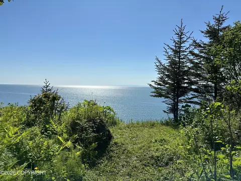21125 Sterling Hwy, Ninilchik, AK 99639