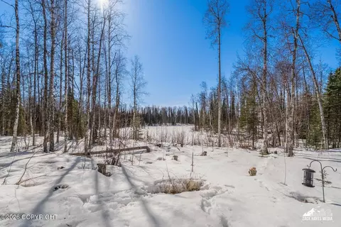 Exterior - 14357 N Stormybrook Cir, Willow, AK 99688 photo 20 of 26