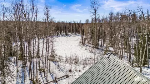 Other - 14357 N Stormybrook Cir, Willow, AK 99688 photo 24 of 26