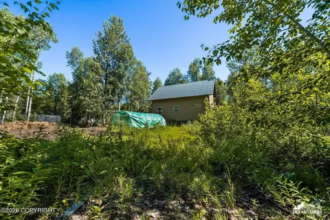Exterior - 14357 N Stormybrook Cir, Willow, AK 99688 photo 9 of 26