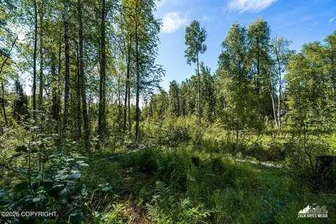 Other - 14357 N Stormybrook Cir, Willow, AK 99688 photo 2 of 26