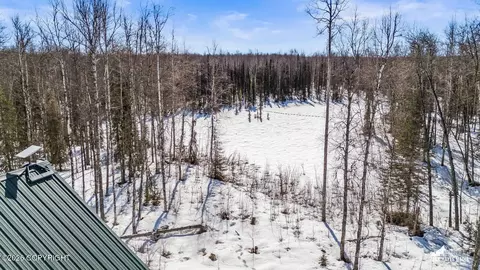 Other - 14357 N Stormybrook Cir, Willow, AK 99688 photo 25 of 26