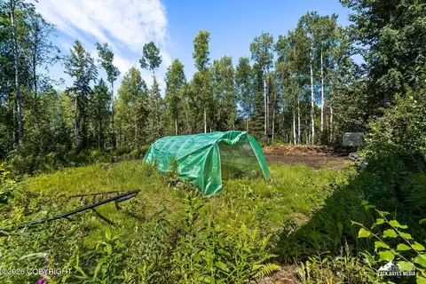 Exterior - 14357 N Stormybrook Cir, Willow, AK 99688 photo 8 of 26