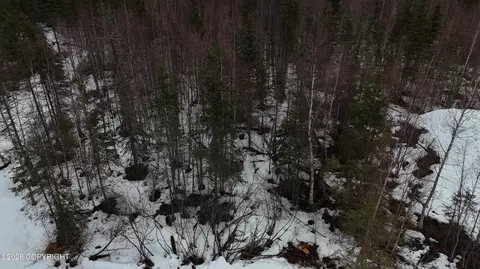 L6 Harmony Drive, Eagle River, AK 99577 photo 10