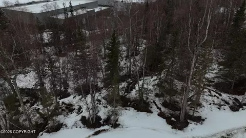L6 Harmony Drive, Eagle River, AK 99577 photo 11