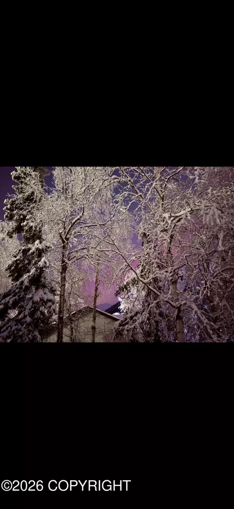 Other - 18802 Driftwood Bay Dr, Eagle River, AK 99577 photo 10 of 10