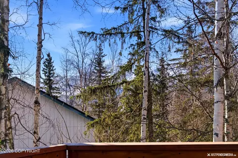 Other - 18802 Driftwood Bay Dr, Eagle River, AK 99577 photo 6 of 10