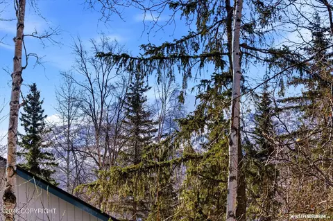 Other - 18802 Driftwood Bay Dr, Eagle River, AK 99577 photo 7 of 10