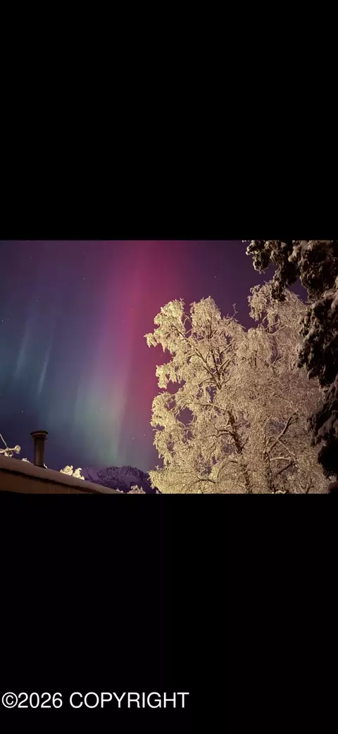Other - 18802 Driftwood Bay Dr, Eagle River, AK 99577 photo 9 of 10