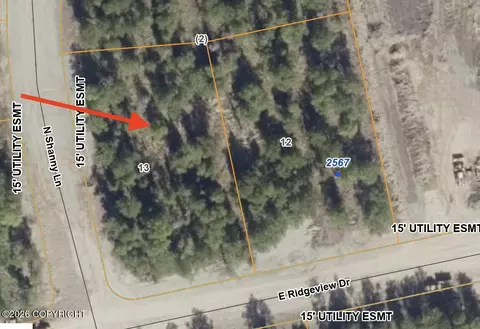 Nhn N Shanny Lane, Wasilla, AK 99654
