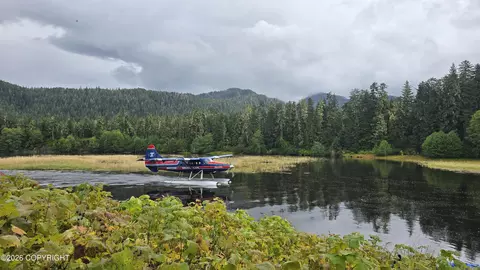 View/Area - 000 No Rd, Remote, AK 99820 photo 7 of 17