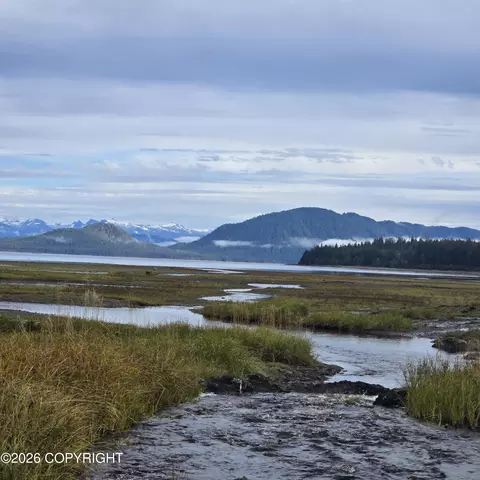 View/Area - 000 No Rd, Remote, AK 99820 photo 4 of 17