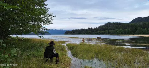 View/Area - 000 No Rd, Remote, AK 99820 photo 2 of 17