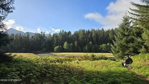 Other - 000 No Rd, Remote, AK 99820 photo 5 of 6