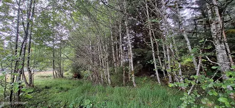 Exterior - 000 No Rd, Remote, AK 99820 photo 1 of 2