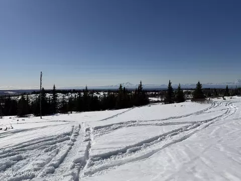 000 Remote Trl, Ninilchik, AK 99639