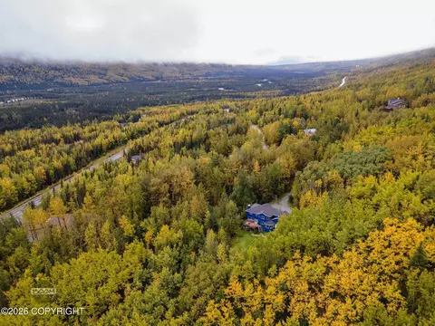 View/Area - 27724 Vantage Ave, Eagle River, AK 99577 photo 4 of 9