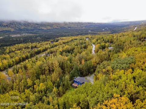 View/Area - 27724 Vantage Ave, Eagle River, AK 99577 photo 2 of 9
