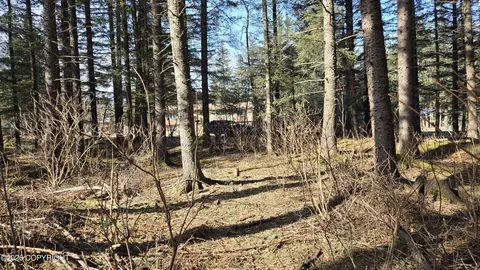 203 Benson Dr, Seward, AK 99664 photo 10