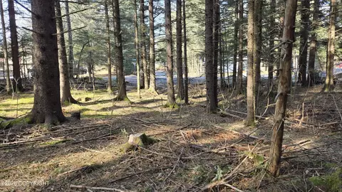 205 Benson Dr, Seward, AK 99664 photo 7