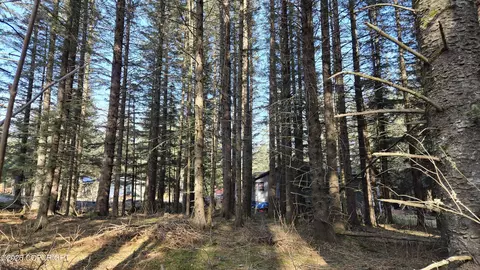 205 Benson Dr, Seward, AK 99664 photo 13