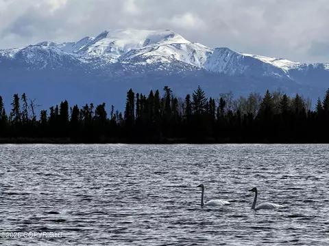 L2 Sun Step Circle, Homer, AK 99603 photo 9