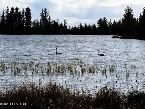 L2 Sun Step Circle, Homer, AK 99603 photo 10