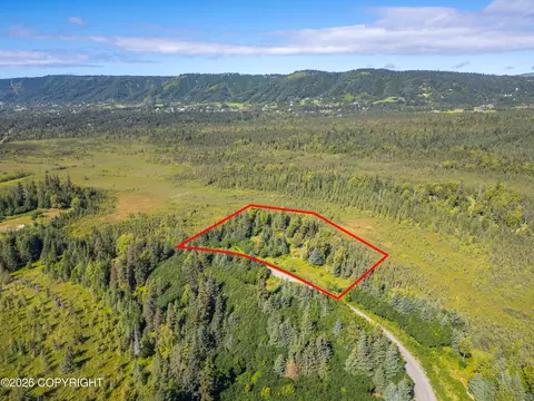L2 Sun Step Circle, Homer, AK 99603 photo 2