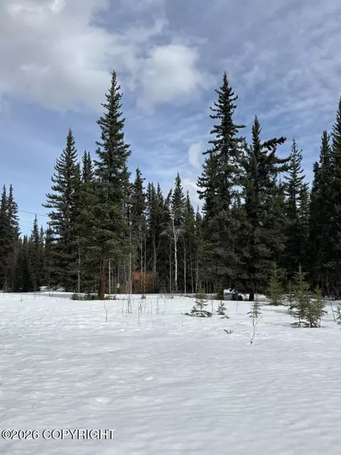 1318 N 5 N Alaska Hwy, Tok, AK 99780