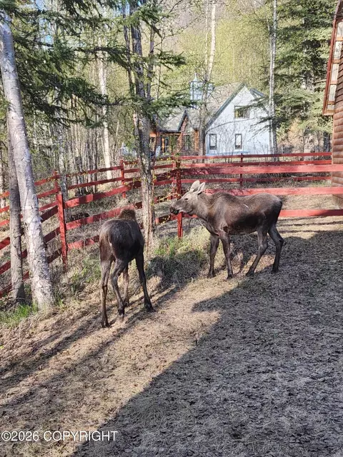 24997 Schaff Dr, Chugiak, AK 99567 photo 45