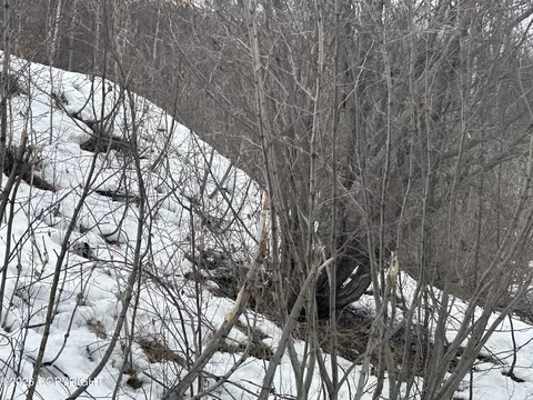 19190 Stone Hill Dr, Eagle River, AK 99577 photo 12