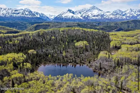 B005 S Packsaddle Road, Chickaloon, AK 99674