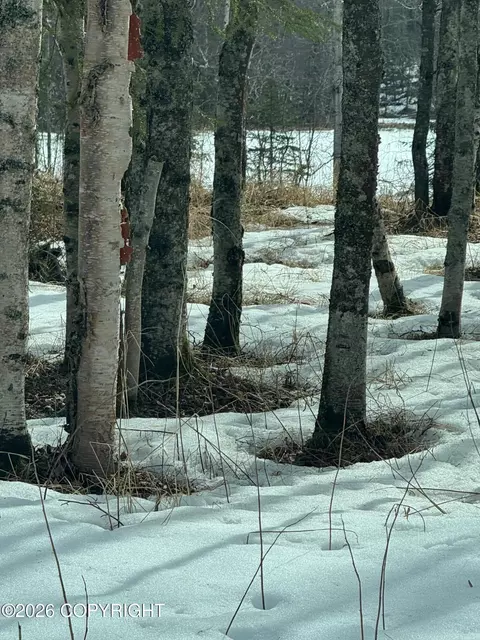 L7c B2 Baun Drive, Nikiskinorth Kenai, AK 99635