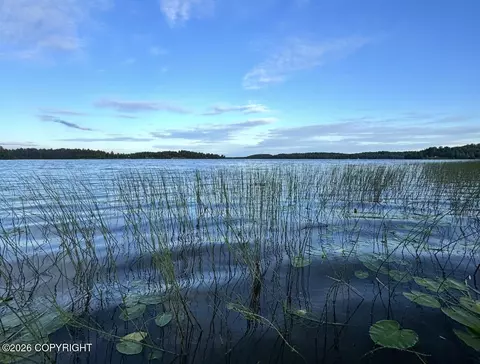 Tr 17 Trapper Lake, Willow, AK 99688
