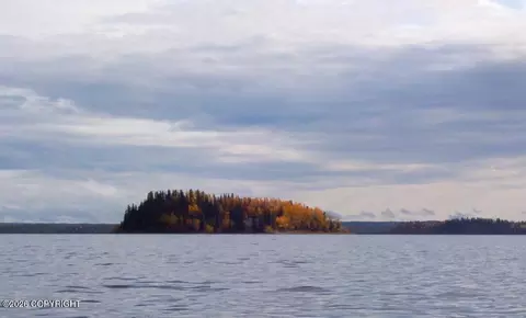 L21 Lake Louise, Glennallen, AK 99588