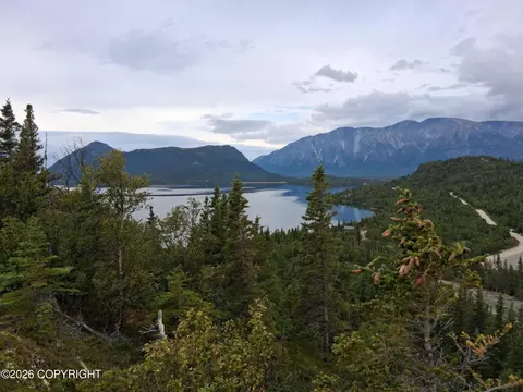 L1 Russian Creek, Iliamna, AK 99606
