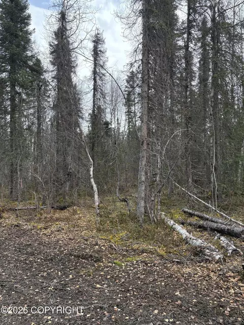 51179 S Kashwitna Dr, Willow, AK 99688