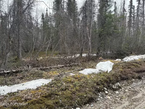 51179 S Kashwitna Dr, Willow, AK 99688 photo 6