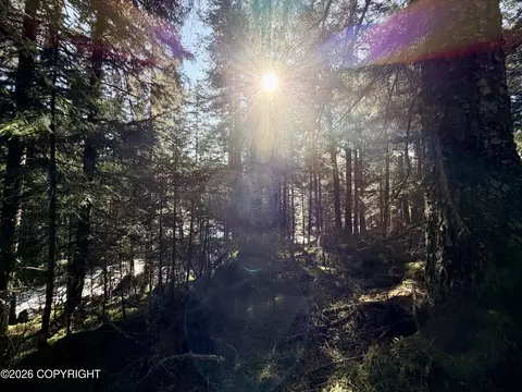 L7 B4 Rosenburg Lane, Seldovia, AK 99663