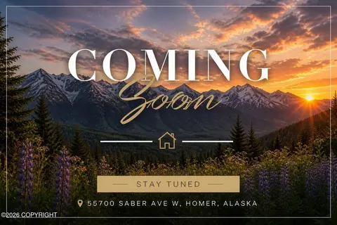 55700 W Saber Ave, Homer, AK 99603
