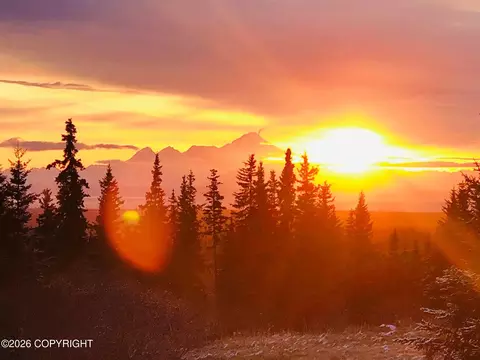 64427 Trail Rd, Anchor Point, AK 99556