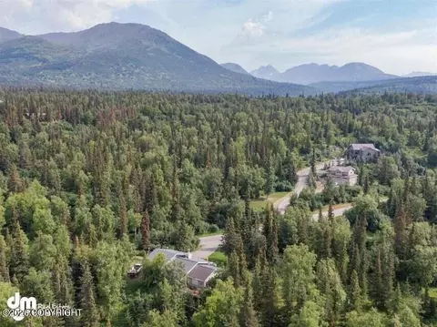 9200 Basher Dr, Anchorage, AK 99507 photo 61