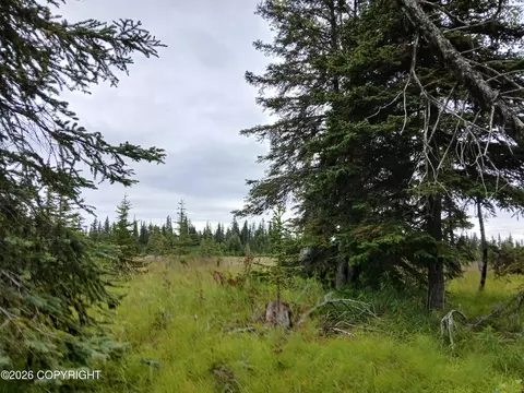 L17 Marik Street, Anchor Point, AK 99556