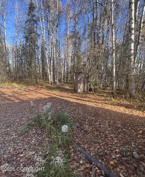 Exterior - 24761 W Eileen Way, Willow, AK 99688 photo 2 of 4