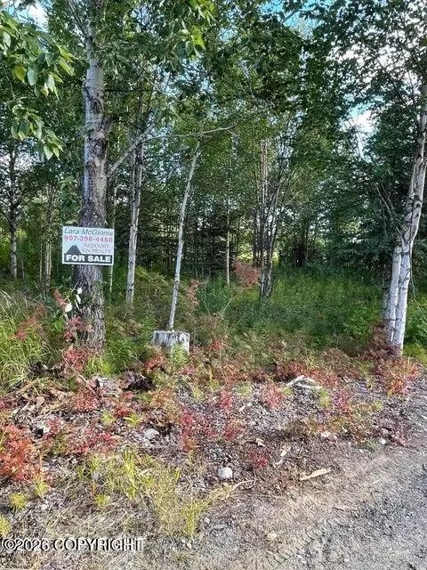 25850 Stinkbug St, Ninilchik, AK 99556