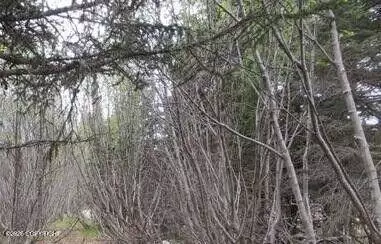 58088 Faccio Rd, Clam Gulch, AK 99568