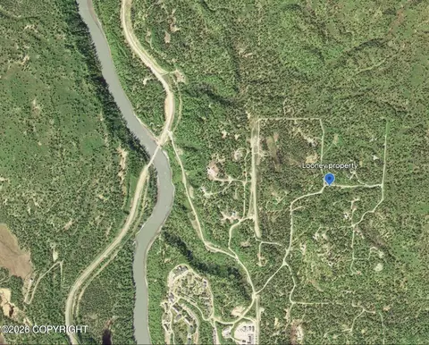 Na E Chief Nicolai Lane, Talkeetna, AK 99676