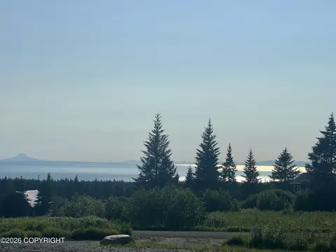 View/Area - 67579 Endless View Loop, Homer, AK 99603 photo 3 of 3