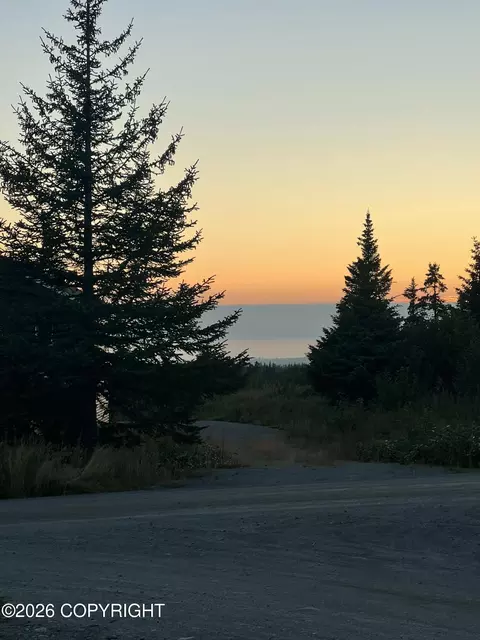 View/Area - 67579 Endless View Loop, Homer, AK 99603 photo 2 of 3