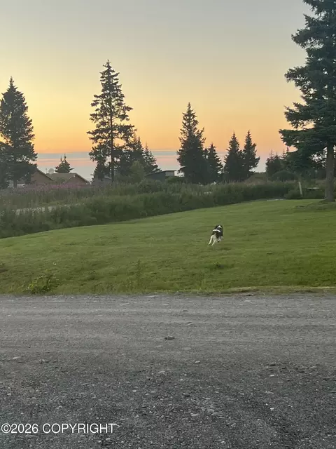 Other - 67579 Endless View Loop, Homer, AK 99603 photo 15 of 20